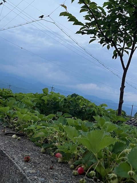 私はまもる！