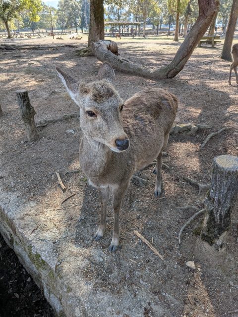 濃ゆーい、タフな連休